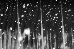 雪とトタン