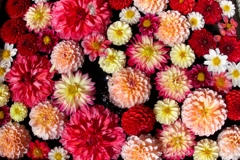 花手水