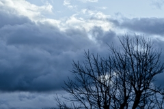 冬の空