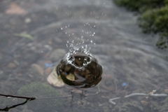 水