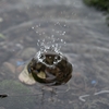 水