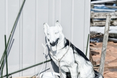 犬の置物