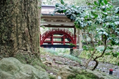 玉の橋