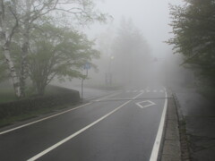 霧の道路…