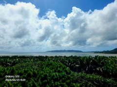 [石垣島]森海空