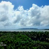 [石垣島]森海空