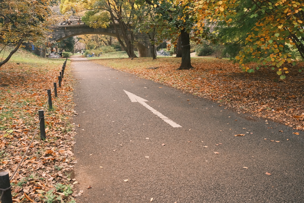 逆走禁止エリア