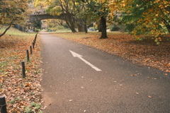 逆走禁止エリア