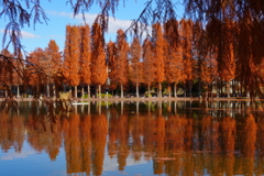 きょうの別所沼公園