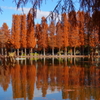 きょうの別所沼公園