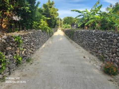 甲州街道