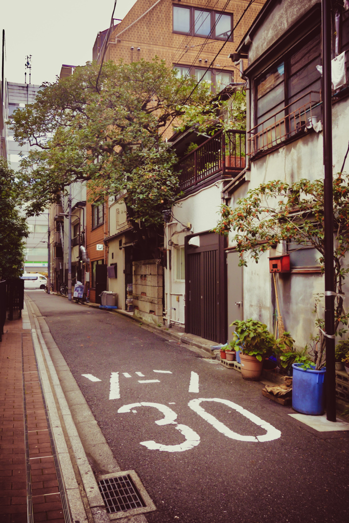 トキョの路地裏