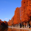 きょうの別所沼公園