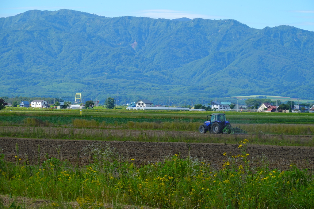 田舎風景