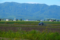 田舎風景