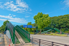 夏だね