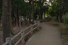 蚊が多い公園