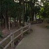 蚊が多い公園
