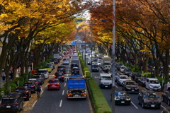 表参道