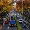 表参道