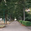 並木道
