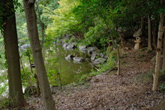 蚊が多い公園