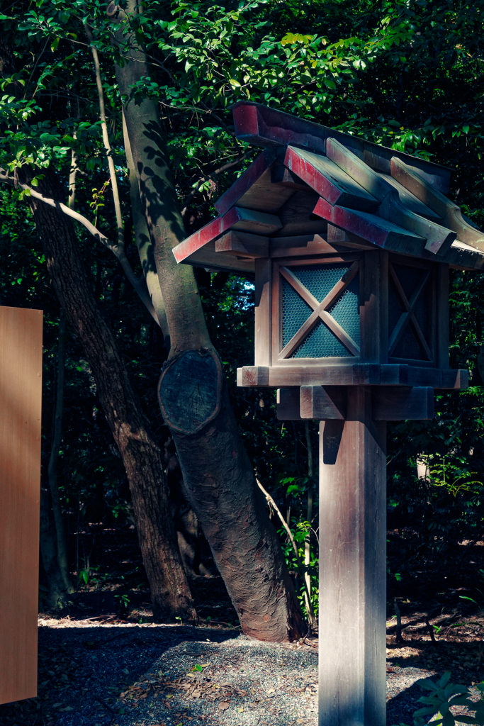 神社の日陰さん