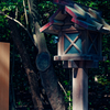 神社の日陰さん