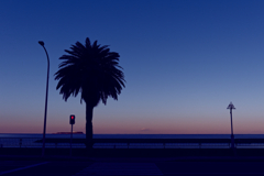 ホテルカリフォルニア