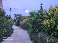 夜道と月
