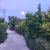 夜道と月