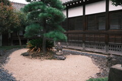 盆栽さん