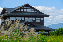 野生の家
