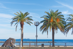 年中夏の雰囲気