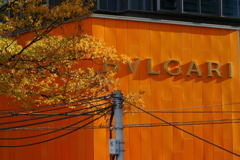 BVLGARIと紅葉