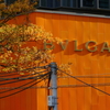 BVLGARIと紅葉
