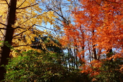 きょうの別所沼公園