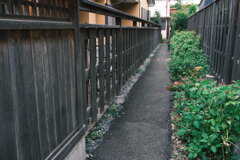 裏路地さん