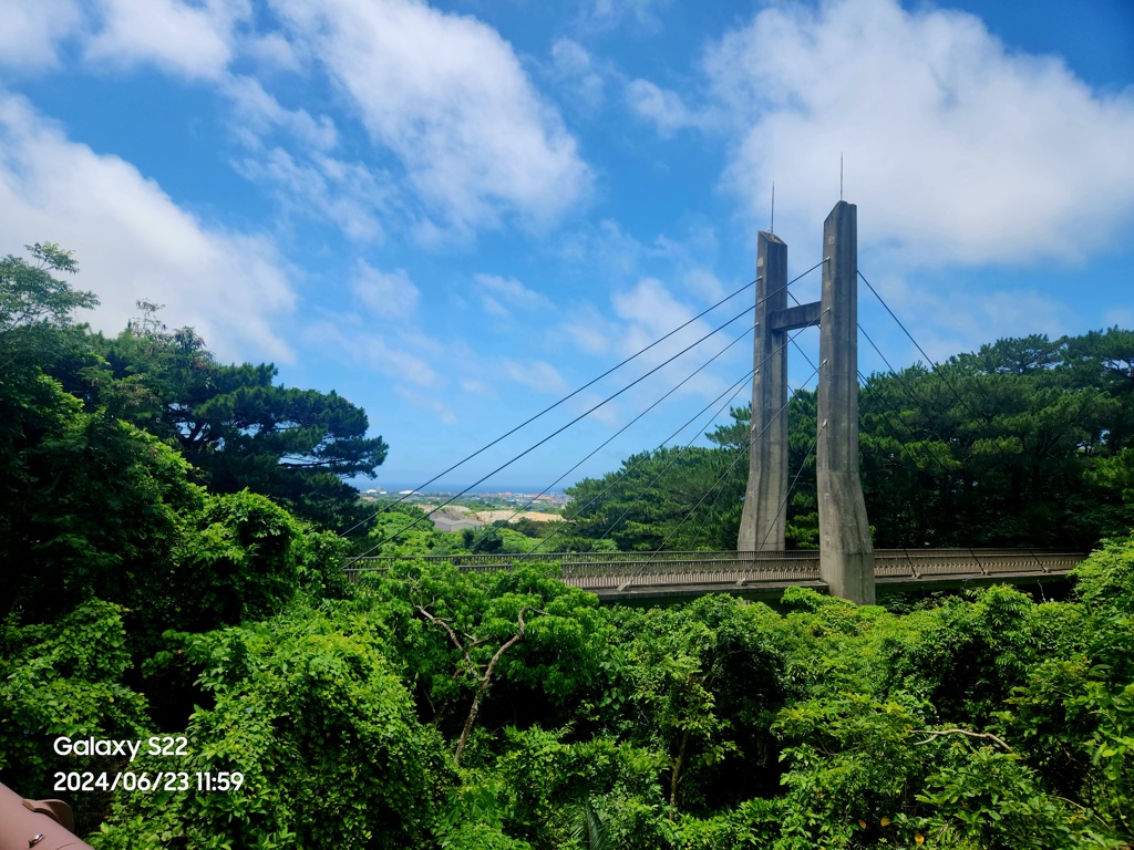 [石垣島]展望台周辺の道