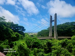 [石垣島]展望台周辺の道