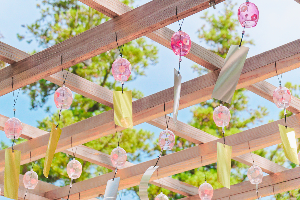 神社に自生する風鈴さん