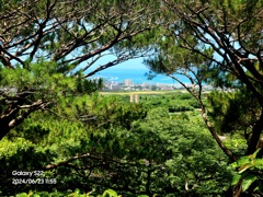 [石垣島]展望台周辺の道