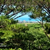 [石垣島]展望台周辺の道
