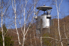 塔