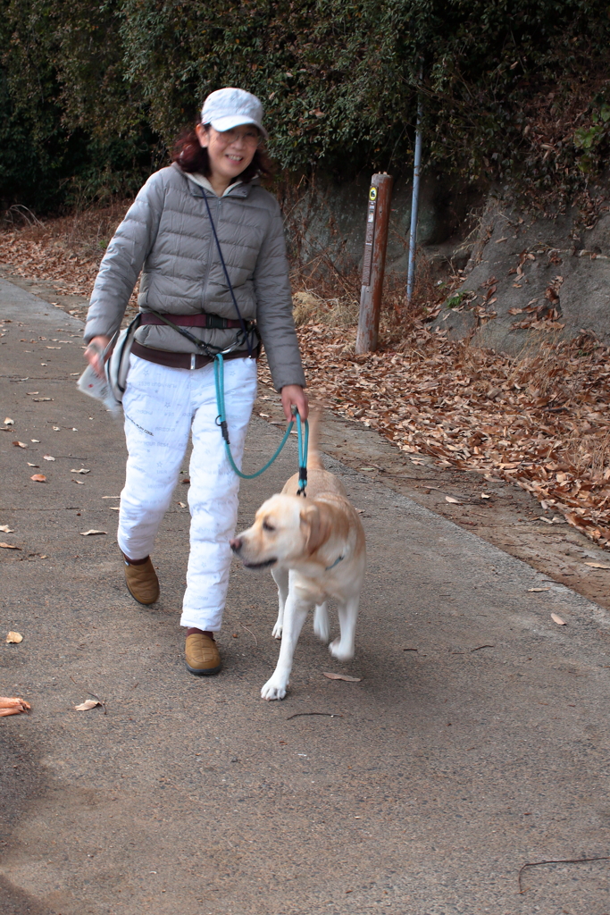 元宇品海岸沿い