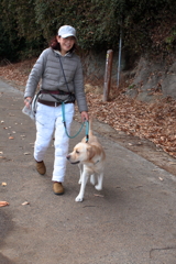 元宇品海岸沿い