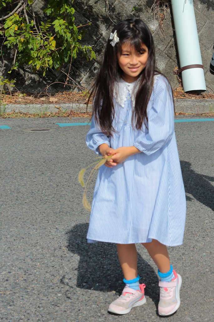 江田島気楽にサイクリング