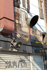 2025.01.13 成人の日散策