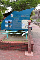 アレイからすこじま