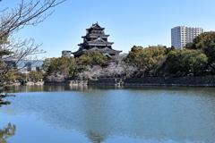 広島城址公園